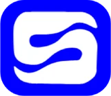 Singularity Polymers