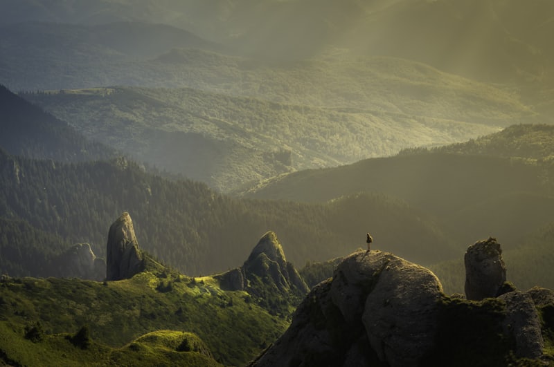 Travel and Hospitality